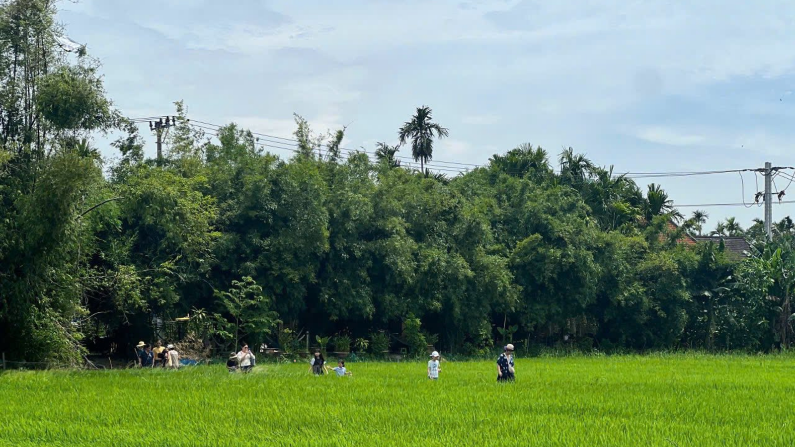 Tour trải nghiệm làm Nông tại làng du lịch cộng đồng Cẩm Kim